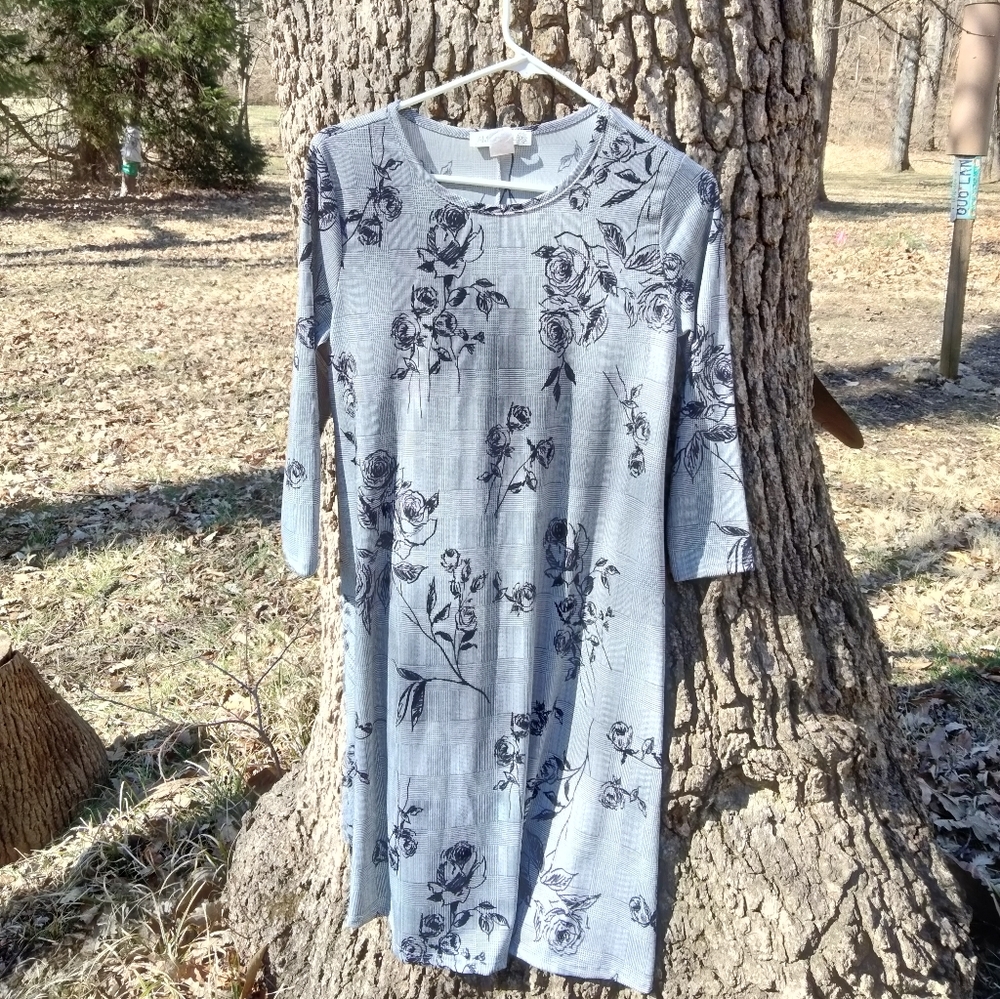 ⬇️ Price Drop!⬇️ Jamie and Layla Dress in size S